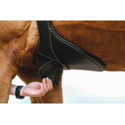 Cintura bavetta Magnet Norton Nero