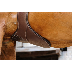 Cintura bavetta Magnet Norton Avana Marrone