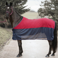 Set di capezza, lunghina e... Set di capezza, lunghina e...