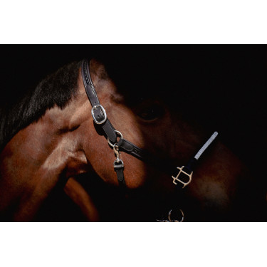 Capezza Pénélope Harmonie Nero Capezza Pénélope Harmonie Nero