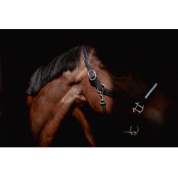 Capezza Pénélope Harmonie Nero Capezza Pénélope Harmonie Nero