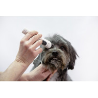 Tosatrice Aesculap Exacta... Tosatrice Aesculap Exacta...