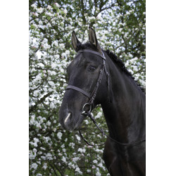 Briglia Riding World Capezzina francese Avana Marrone