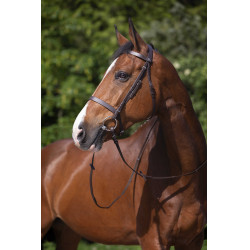 Briglia Riding World Capezzina francese Avana Marrone