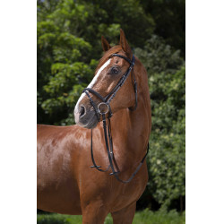 Briglia Riding World Capezzina combinata Nero Briglia Riding World Capezzina combinata Nero