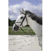 Briglia Riding World Capezzina incrociata Nero