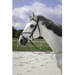 Briglia Riding World Capezzina incrociata Avana Marrone