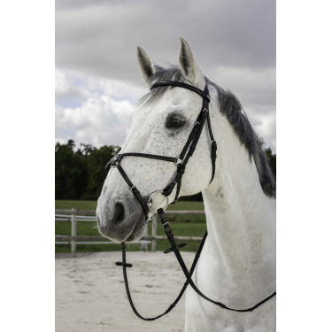 Briglia Riding World Capezzina incrociata Nero