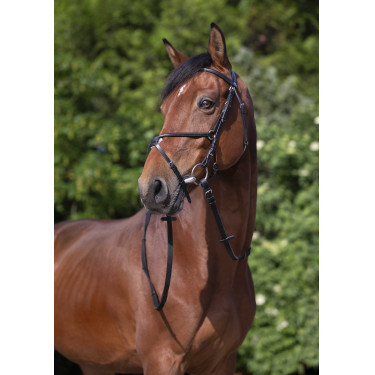 Briglia Riding World Capezzina incrociata Nero