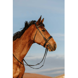 Briglia Riding World Capezzina larga Nero