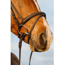 Briglia Riding World con capezzina combinata doppia Avana Marrone