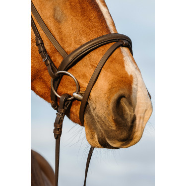 Briglia Riding World con capezzina combinata doppia Avana Marrone