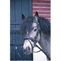 Bridon Pénélope Eden Avana Marrone Bridon Pénélope Eden Avana Marrone