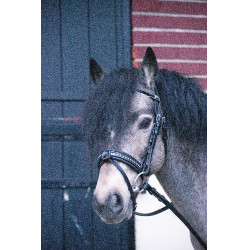 Bridon Pénélope Eden Nero