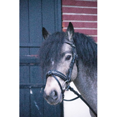 Bridon Pénélope Eden Nero