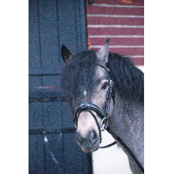 Bridon Pénélope Eden Nero