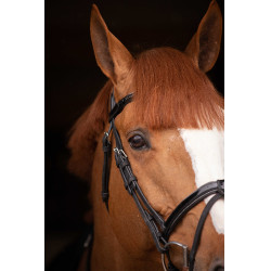 Birdon Oxford Performance Pénélope Nero