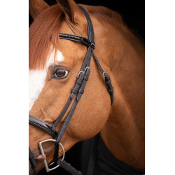 Birdon Oxford Performance Pénélope Nero