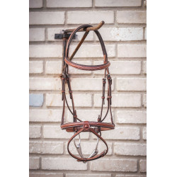 Bridon Hunter US Pénélope Nocciola / havana