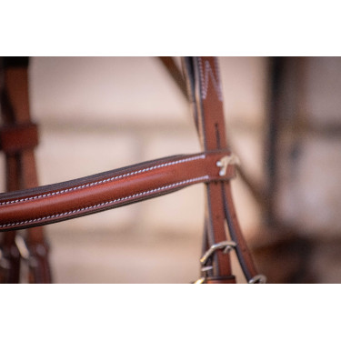 Bridon Hunter US Pénélope Nocciola / havana