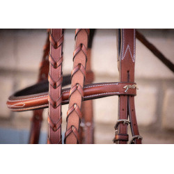 Bridon Hunter US Pénélope Nocciola / havana