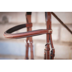 Bridon Hunter US Pénélope Nocciola / havana