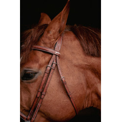 Bridon Hunter US Pénélope Nocciola / havana