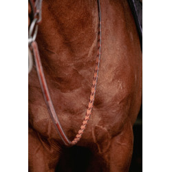 Bridon Hunter US Pénélope Nocciola / havana