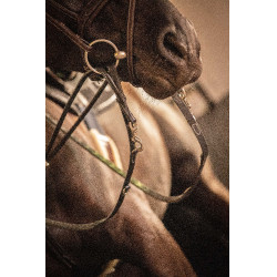 Redini Pénélope Howlett in cuoio Nero