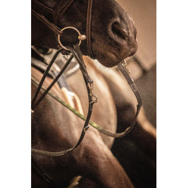 Redini Pénélope Howlett in cuoio Nero