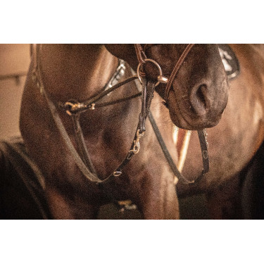 Redini Pénélope Howlett in cuoio Nero