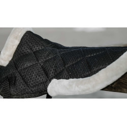 Ammortizzatore Equithème Pro air Nero