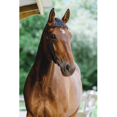 Bridon Freedom Norton Nero