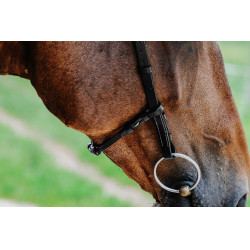 Bridon Freedom Norton Nero