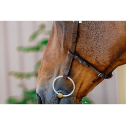 Bridon Freedom Norton Avana Marrone