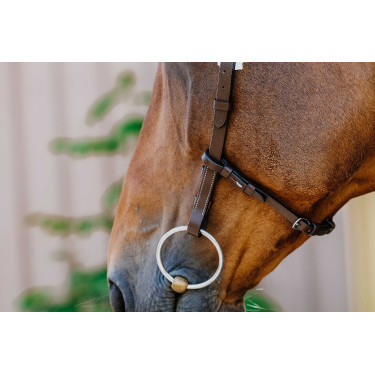 Bridon Freedom Norton Avana Marrone