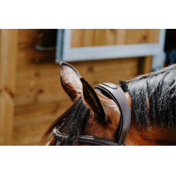 Bridon Freedom Norton Avana Marrone