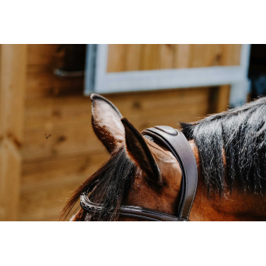 Bridon Freedom Norton Avana Marrone