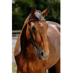 Bridon Freedom Norton Avana Marrone