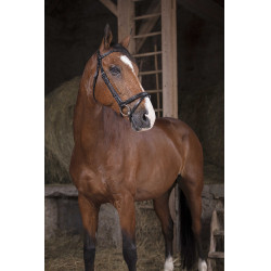 Bridon Norton Pro Fin Nero