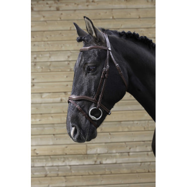 Briglia Norton Pro Intagliata Avana Marrone