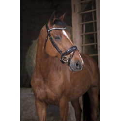 Bridon Norton Pro Strass Nero Bridon Norton Pro Strass Nero