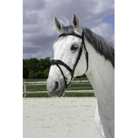 Bridon Norton Pro Wave Nero