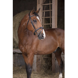 Bridon Norton Pro Wave Nero Bridon Norton Pro Wave Nero