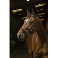 Side-pull Norton Pro Comfort Avana Marrone