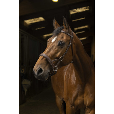 Side-pull Norton Pro Comfort Avana Marrone