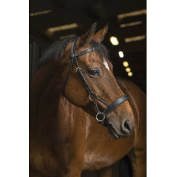 Side-pull Norton Pro Comfort Nero