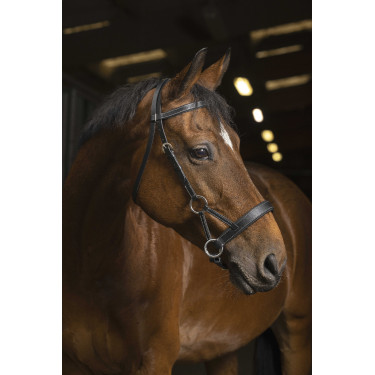 Side-pull Norton Pro Comfort Nero