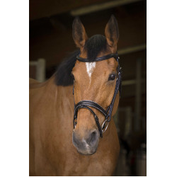 Bridon Norton Pro Rock Nero