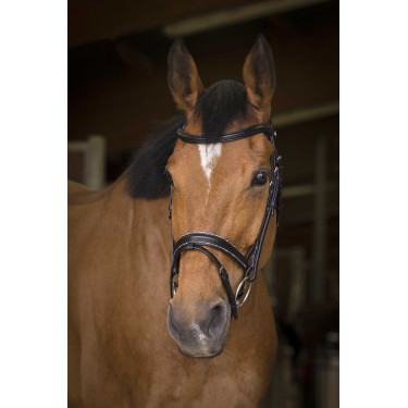 Bridon Norton Pro Rock Nero